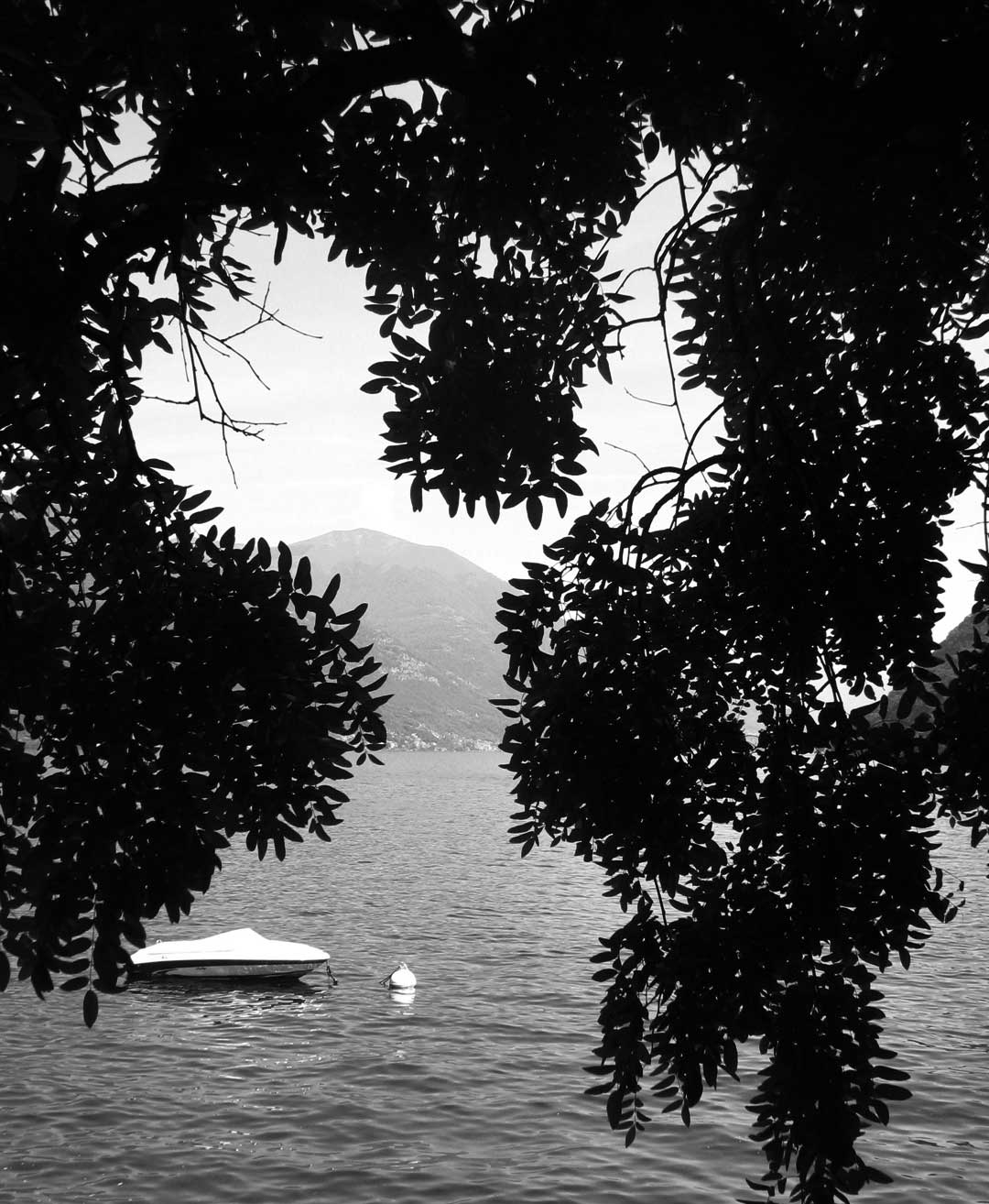 Vista sul lago attraverso il salice piangente del giardino privato Telos Boats